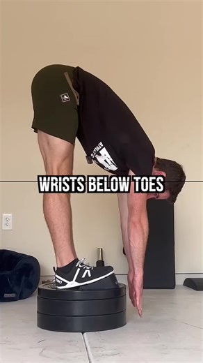 3 Hamstring Flexibility Standards These are 3 of 28 targets in The Standards Program Eliminating m