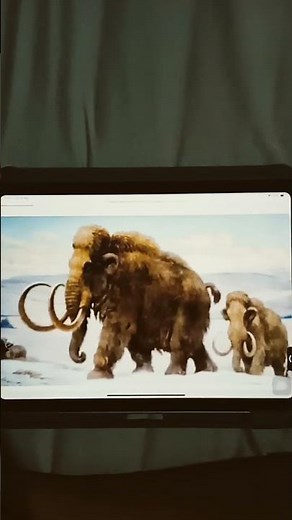 Woolly Mammoth Trumpeting Sound Effects