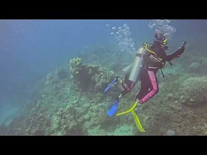 SCUBA Diving the Great Barrier Reef