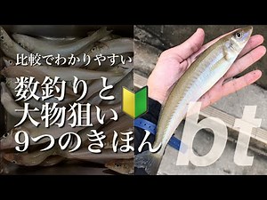 キス釣りの基本が５分で分かります。キスキャロなら数釣りも大物狙いもできて楽しさは２倍に！