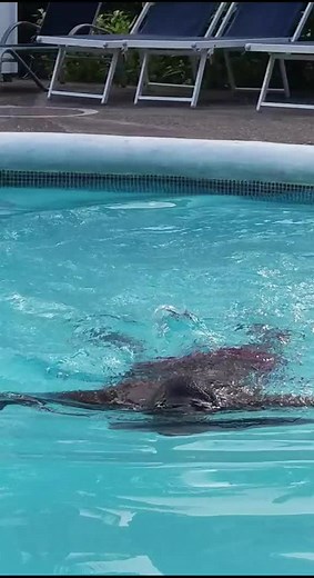 Dannyflex (@dannyflex1)’s videos with original sound - Dannyflex