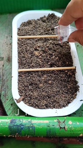 Simple Trick to Sow Different Seeds in One Place #gardenhacks