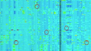 #TBT - Check out this fascinating talk from Nathaniel Heinz at our 2011 Symposium. | Allen Institute | Facebook