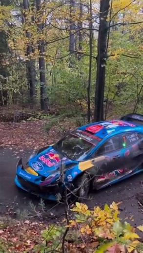 Rally Car Destroying the Forest Stage! #europe #americancar