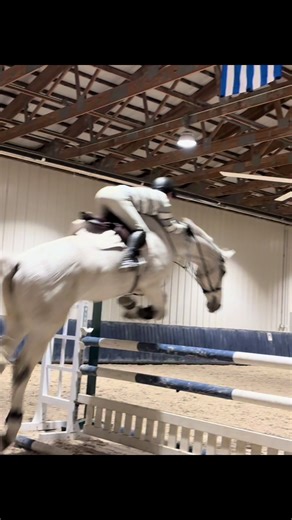 Dragon Jumping and Tack Skills at the Clinic
