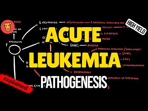 Acute Myeloid Leukemia (AML) EXPLAINED: Pathogenesis & Clinical Symptoms (USMLE Beginner’s Guide)
