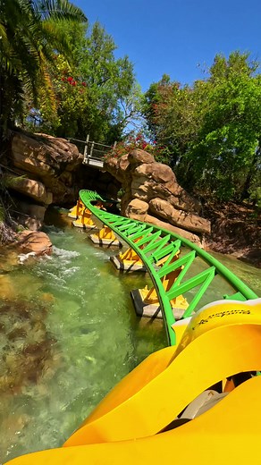 Mentally, I’m here 🤗 #buschgardens #cheetahhunt #rollercoaster #pov #fypシ