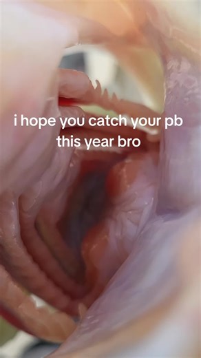 Bass Fishing: Catch Your Personal Best This Year!