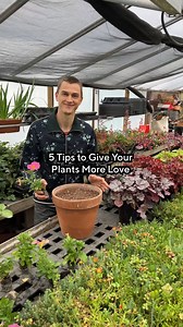 14K views · 192 reactions | Treat your garden with love Devin from Roberta's Unique Gardens is sharing 5 tips to give your plants some extra love this season! 1. Don't overcrowd 2. Plant deep 3. Water before you transplant plant, then water again 4. Replace mulch with ground clovers 5. Add foliage to the mix Add fresh finds from Roberta's Unique Gardens to help your backyard BLOSSOM, here : https://qvc.co/loveyourgarden | QVC | Facebook