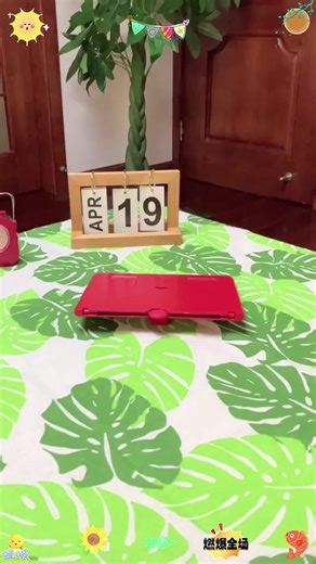 Mobile Phone Magnifying Glass and Holder