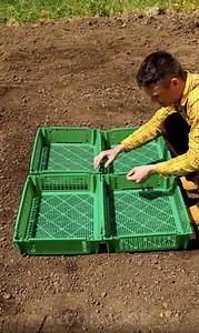 325K views · 788 reactions | Creative Ways to Reuse and Upcycle Fruit Baskets | Wood Mood | Facebook
