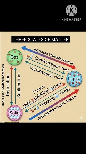 From GAS to SOLID: The Energy Cycle! ⚡ #CBSE #SCIENCE