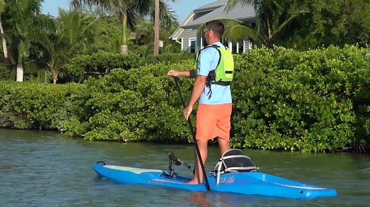 10K views · 141 reactions | The Perception Hi Life Kayak! Perfect for the family. Watch. | Perception Kayaks | Facebook