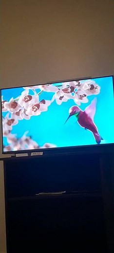 POV: It's 2011, and you're staying up late to watch ABC2