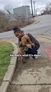 The “I’m so sorry” hit us right in the feels 😭 so happy Frank is safe 🐾❤️❤️ (🎥 via: reavesrecoveryrescue ) | Majically News