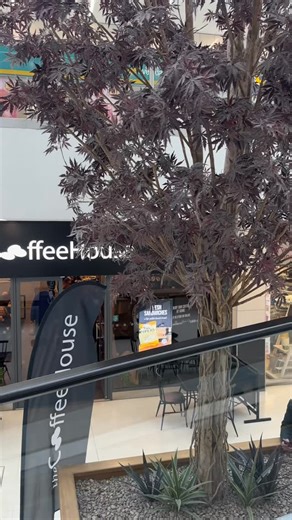 Walkden is now open, whose popping in? ☕️✨ #walkden #matchainwalkden #coffeehouse #cafenearme | The Coffee House