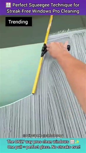 The ONLY way pros clean windows 🪟✨ One pull = perfect glass. No streaks ever! 👇 #WindowCleaning