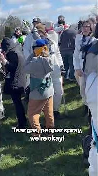 Tear Gas Fired, Dozens Arrested as Activists Target ‘Cruel’ Dog Breeding Facility #shorts