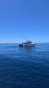 16K views · 85 reactions | Stackattack Sports Fishing on Reels | Facebook