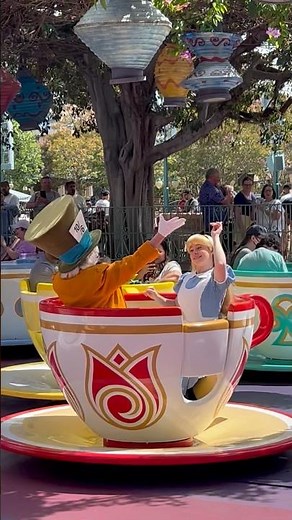 Alice and Mad Hatter Tea Cups Surprise