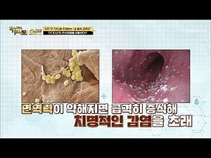 성인 70%가 가지고 있다!? 점막&장내에 살고 있는 ˹칸디다균˼ TV CHOSUN 220104 방송 | [기적의 습관] 111회 | TV조선