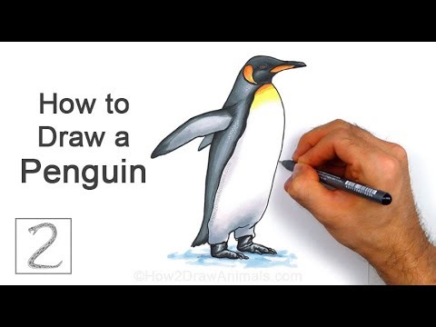 How to Draw an Emperor Penguin