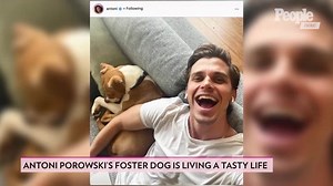 Antoni Porowski Opens Up About Cooking for His Boyfriend — and Life with His New Foster Pup Neon
