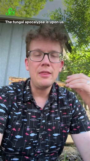 Scientists keep insurance populations of endangered animals all over the world with the goal of one day reintroducing them to the wild. But with these frogs threatened by a fungal apocalypse, there’s a genetic twist. Made in partnership with Wild Hope, a series of short, free documentaries that bring you stories about scientists and changemakers who are restoring our wild places and sparking new hope for the future of our planet’s biodiversity. #scishow #science #stem #frog