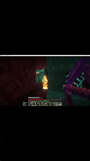 Minecraft Gameplay #minecraft #minecraftbuilding #gaming #letsplay #survival#funny#gameplay#bird