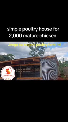 Eugene Poultry Farm on TikTok