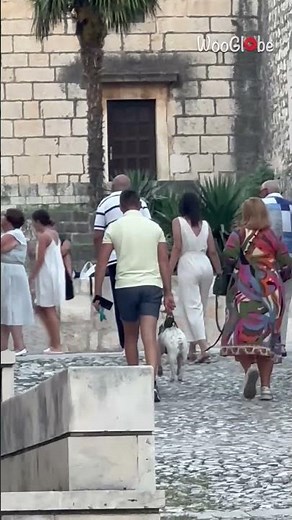 Man carries his dog from the leash as they walk uphill together || WooGlobe