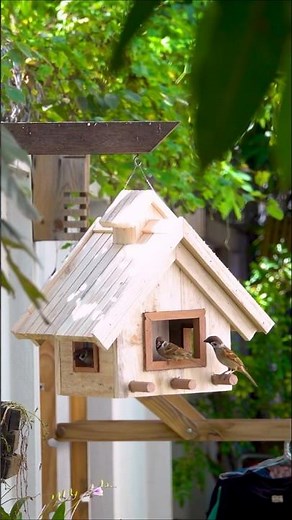 Make Your Own BACKYARD Bird Feeder with Easy DIY Steps #diy #crafts #birdlovers #shorts