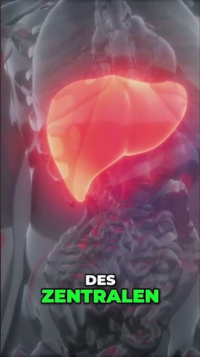 Berberine: Your body will love it! Incredible effects explained!
