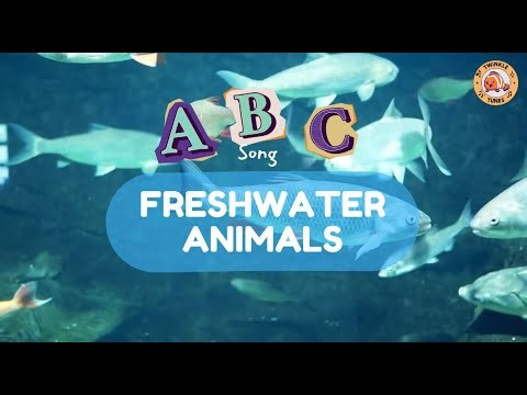 ABC Song - Freshwater Animals - #singing & #learning #abcd together