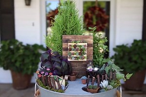 Urban Fairy Garden! By: Garden Answer | MetDaan
