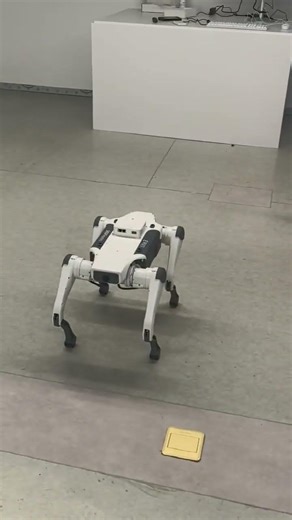 Testing brainwave control on the robot dog. The future is here.#DEEPRobotics #robotdog #robotics