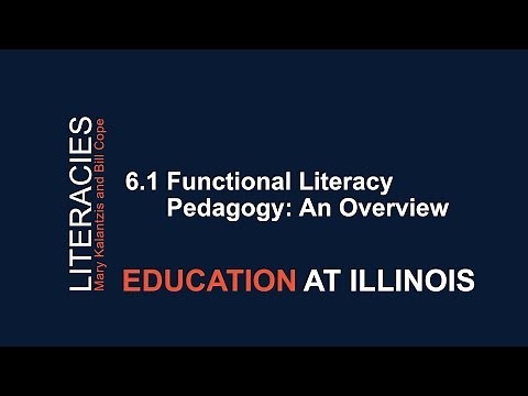 6.1 Functional Literacy Pedagogy: An Overview