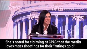 What to know about Dana Loesch, the public face of the NRA