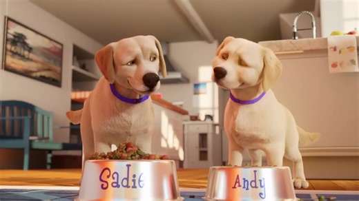 Andy dog full film , dog story