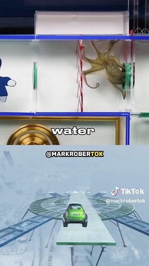 Octopus vs Underwater Maze Part 9 | Mark Rober #fyp #markrober #engineering #viral