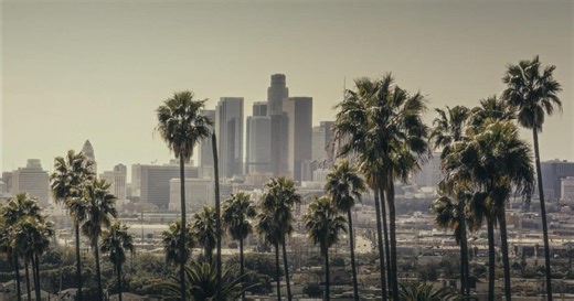 Combating Climate Change with Trees