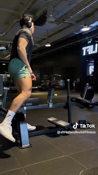 Complete 12-Week Quad Workout Program for Strength