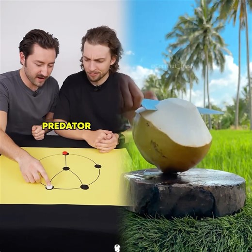 How to Play Cat and Mouse