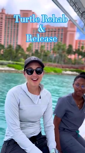 39 reactions | Today, we were happy to release a rescue turtle from our care after successful rehab. We named him Gumbo ! #BLUEPROJECTATLANTIS | Atlantis Local | Facebook