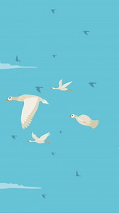 Free stock video - An animation of a flat flying bird background