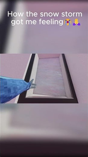 The snow storm❄️❄️🌨️