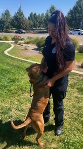 16K views · 178 reactions | Cholula needs cuddles!! Can anyone take...