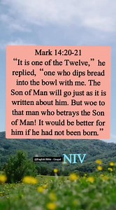 54K views · 1.2K reactions | Mark 14:20-21 “It is one of the Twelve,” he replied, “one who dips bread into the bowl with me. The Son of Man will go just as it is written about him. But woe to that man who betrays the Son of Man! It would be better for him if he had not been born.” English Bible - Gospel | English Bible - Gospel | Facebook