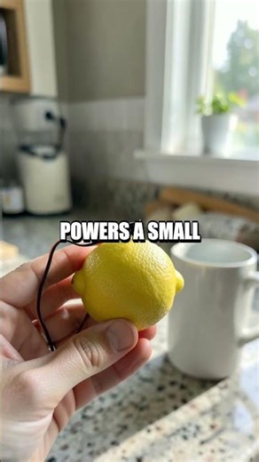 Kitchen Lab Chronicles Five Safe Home Experiments