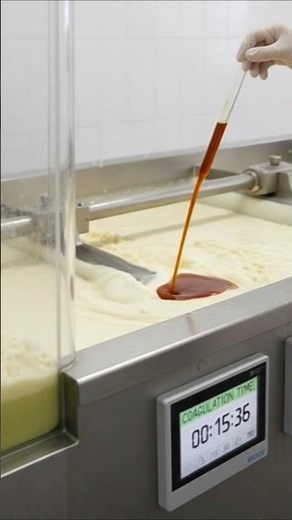 How Rennet Turns Milk into Curds and Whey | Cheese Making Step